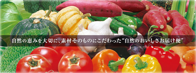 自然の恵みを大切に、素材そのものにこだわった自然のおいしさお届け便