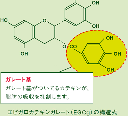 エピガロカテキンガレート（EGCg）の構造式