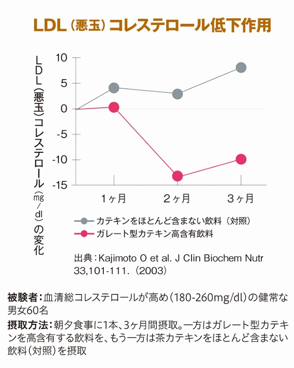 対談 コレステロールを下げる方法とは 専門家に聞きました 伊藤園の公式通販 健康体