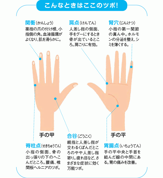 美しく健康な手を目指そう 健康のドクターズアドバイス 伊藤園の公式通販 健康体