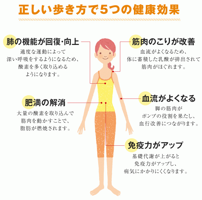 正しいウォーキングで毎日を健康に過ごそう 伊藤園の公式オンラインショップ 健康体